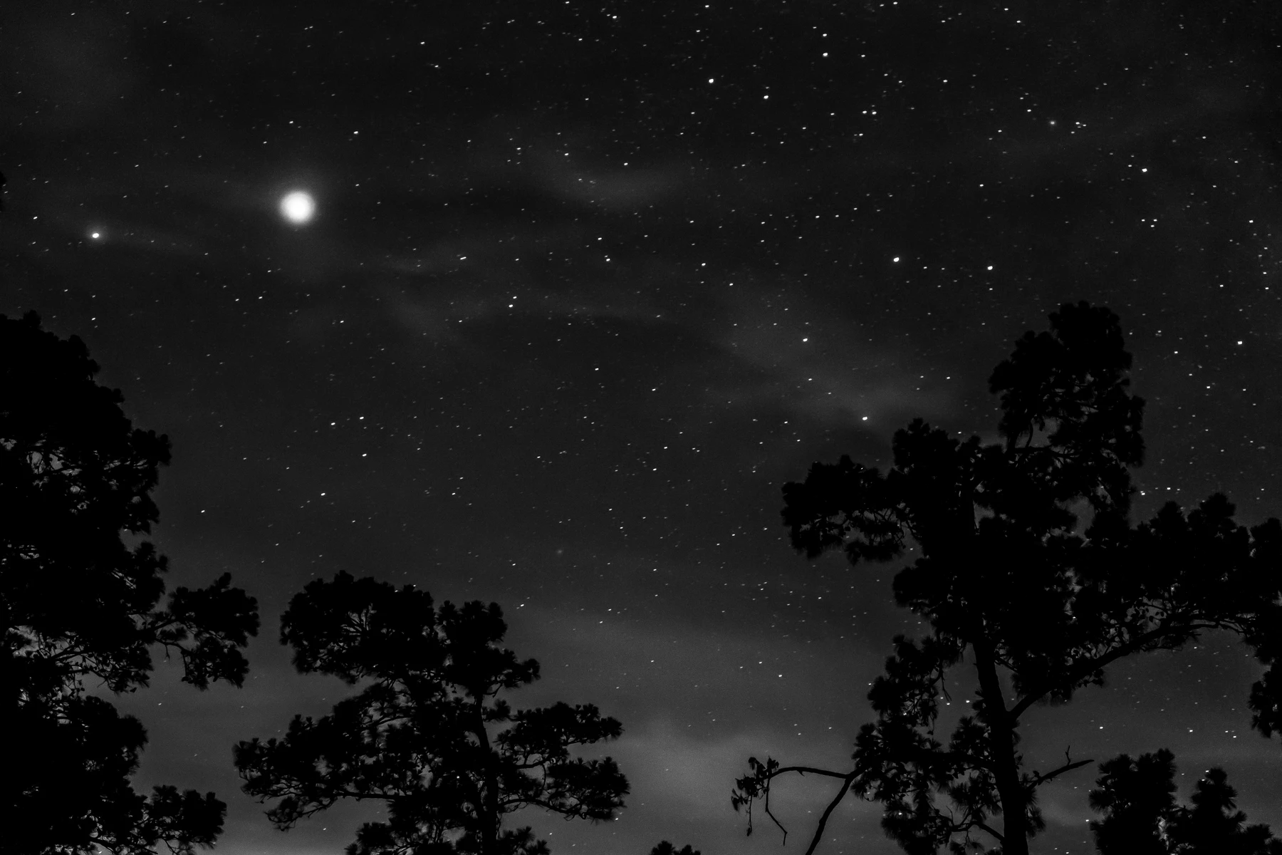 Night Sky, Texas