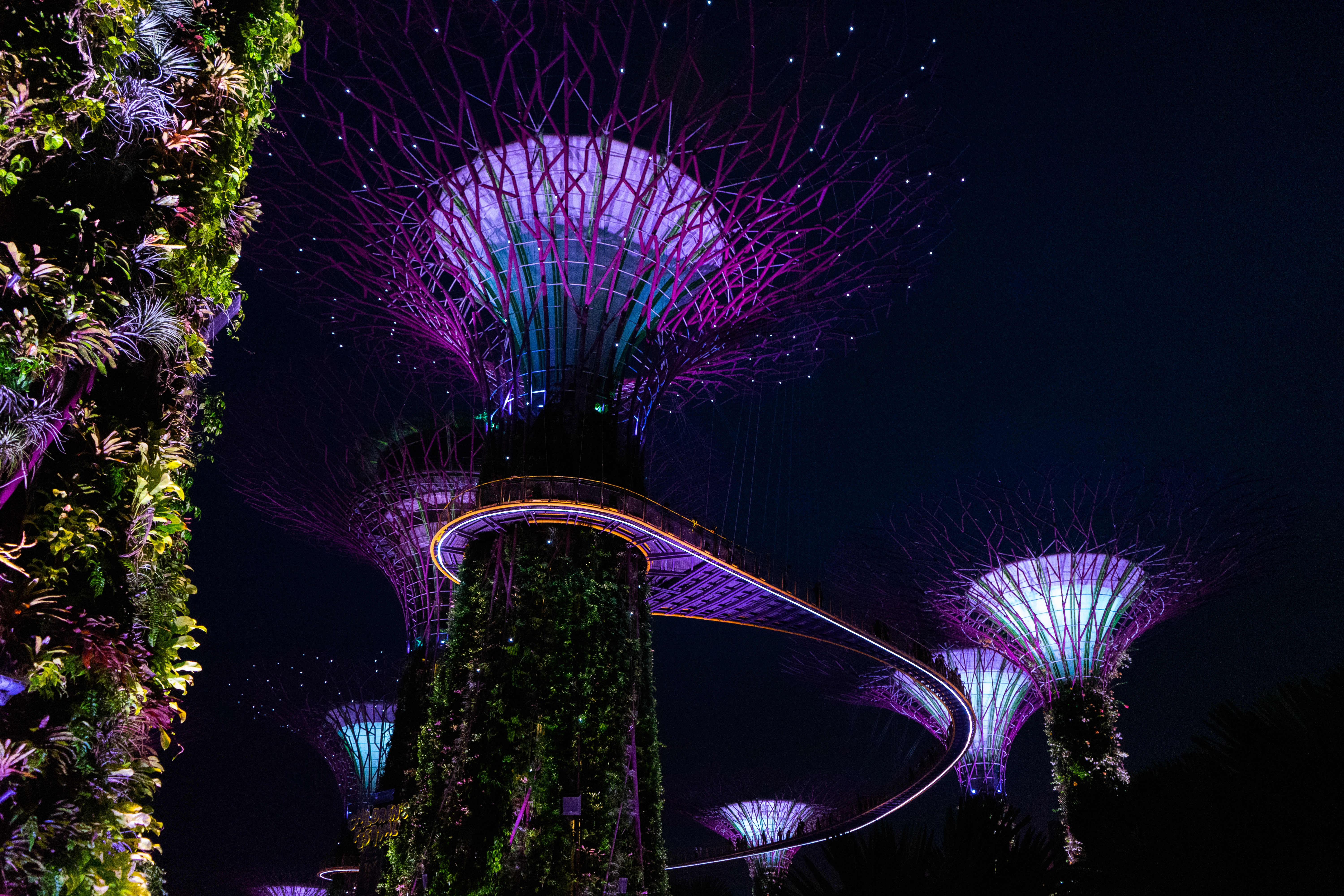 Gardens by the Bay, Singapore