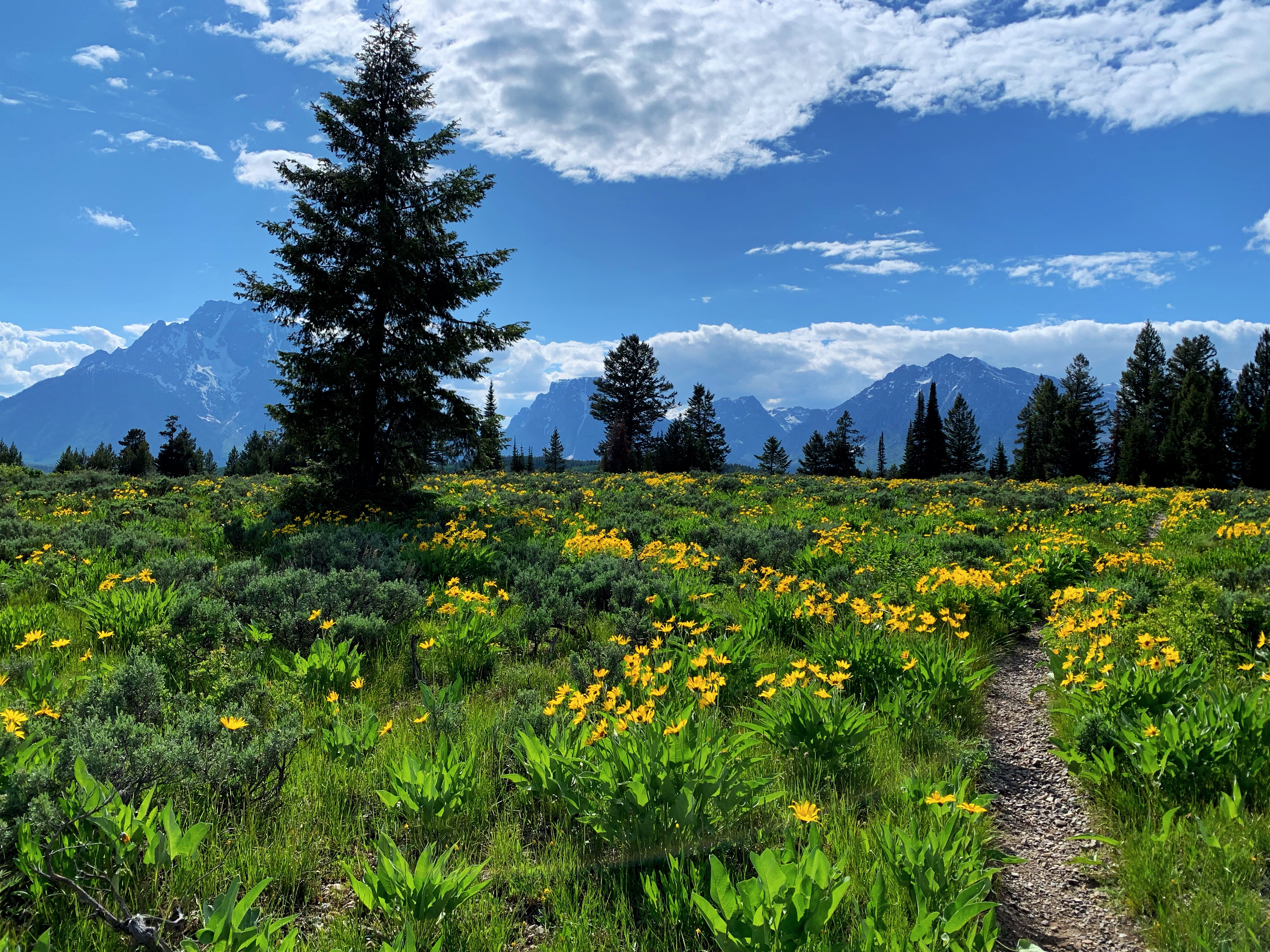 Grand Tetons, Wyoming
